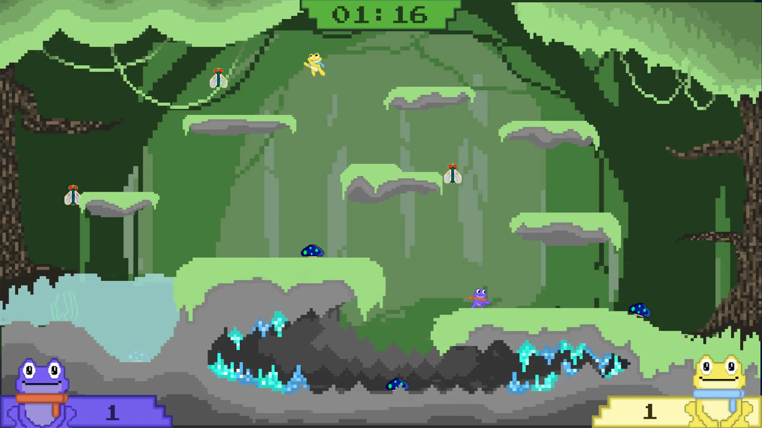 Image du jeu vidéo Grenouche